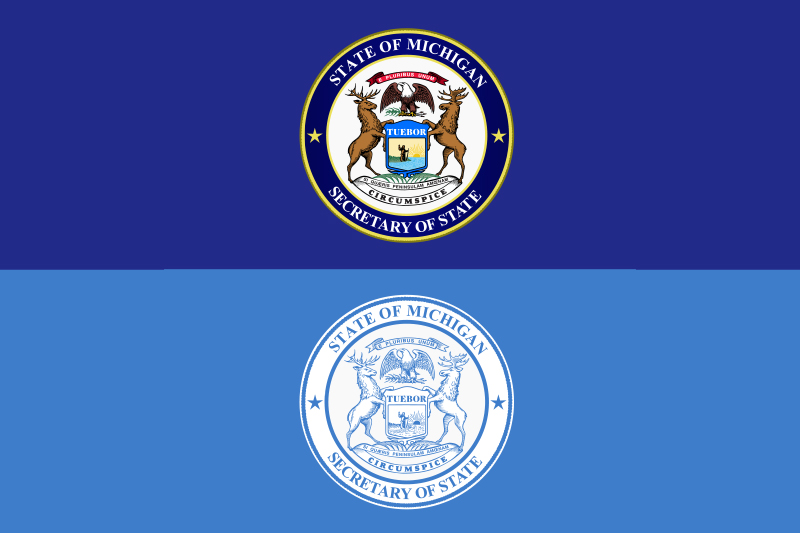 Michigan Department of State brand style guide and visual identity standards manual